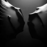 Логотип @masterlustan - Тихое место❤️