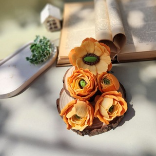 Логотип @mastermodelsadikova - Master_model_Sadikova