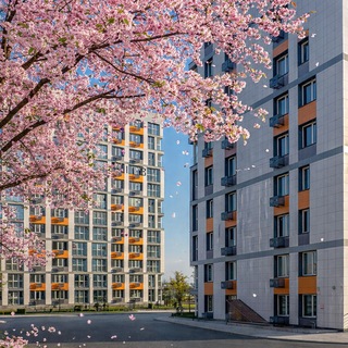 Логотип @masterstroydv - Мастерстрой ДВ