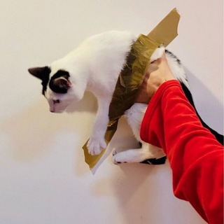 Логотип @mat_scotch_google_doc - Мат, скотч и google-doc