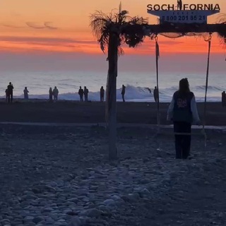 Логотип @matbeubrat - Директор Адлера