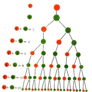 Логотип @matemaris - matemaris.school