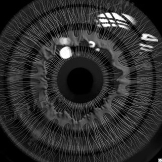 Логотип @materialyourfile - Material @yourfile