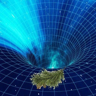 Логотип @mathliveopenchannel - MathLiveOpen News