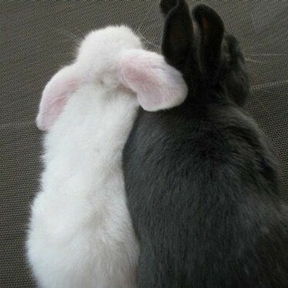 Логотип @matnikov_shop - Pubg Store by MATNIKOV