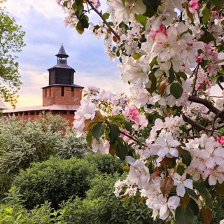 Логотип @matveeva_juli - Нижний моими глазами✨