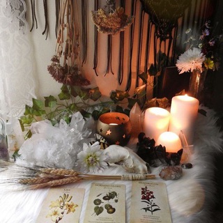 Логотип @maugustfeather - Объятия Таро 💚