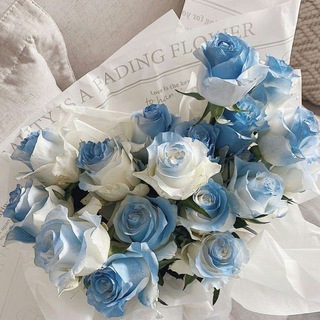 Логотип @maxich_reviews - ➵ 𝓜𝓪𝔁𝓲𝓬𝓱.✧°🫐 | @LAPIS_Maxich