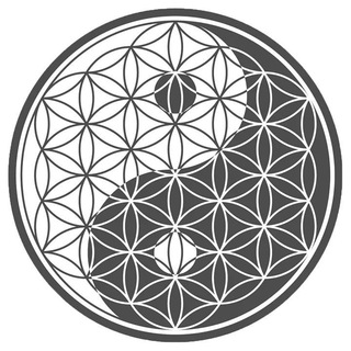 Логотип @maximalegesundheit - Maximale Gesundheit