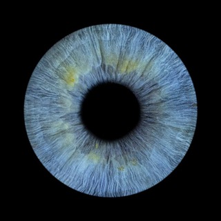 Логотип @maximrybalko - САМОРАЗВИТИЕ | Максим Рыбалко