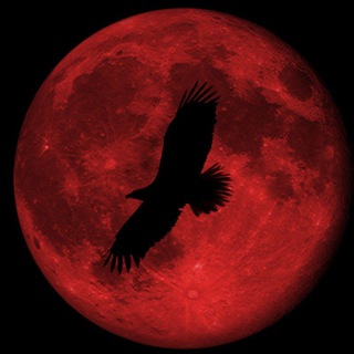 Логотип @maximum00001 - Максимум