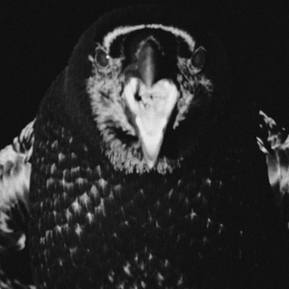 Логотип @maximumblack9 - масло черного тмина.