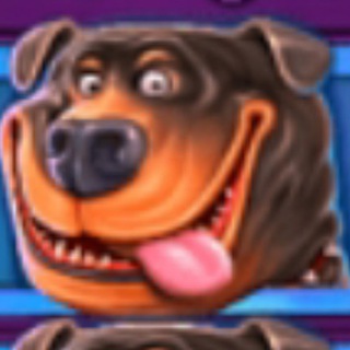 Логотип @maxissredono - Maxi с срединоземноморья