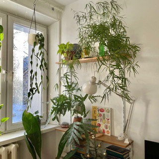 Логотип @maxturansky - Шир, милый Шир