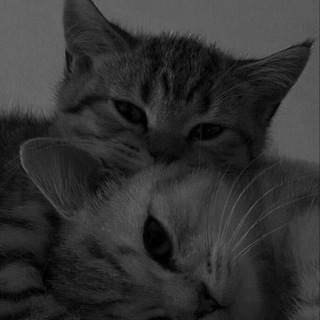 Логотип @maxxter_8 - 🕸🌘ℳℴℴ𝓃 𝒾𝓃 ℳ𝓎 ℛℴℴ𝓂🌒🕸