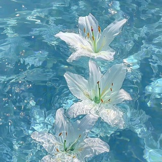 Логотип @maybe_yessssss - 𝚖𝚊𝚢𝚋𝚎 𝚢𝚎𝚜?