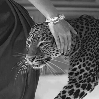 Логотип @mayssoull - мαуѕѕσυℓℓ