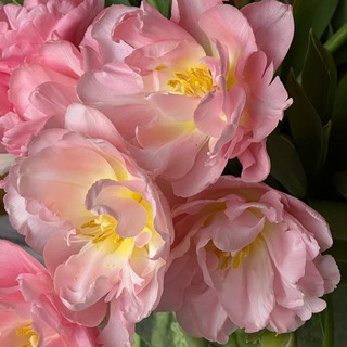 Логотип @mazhvtiray - баночная