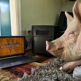 Логотип @mbdtc - МійПрекраснийТемнийПотворнийКанал