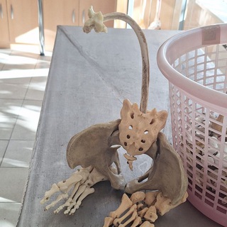 Логотип @mbl_u3_115 - Юмор. Слёзы. И белые халатики