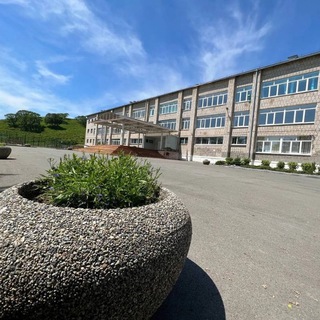 Логотип @mboycosh253 - МБОУ СОШ 253 п. Дунай