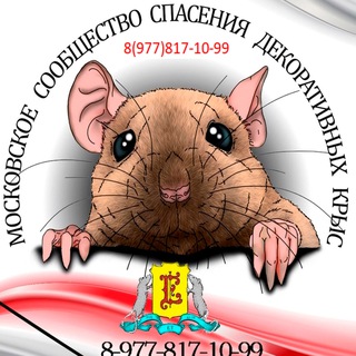 Логотип @mccdk - МССДК (Московское сообщество спасения декоративных крыс) *8(977)817-10-99*