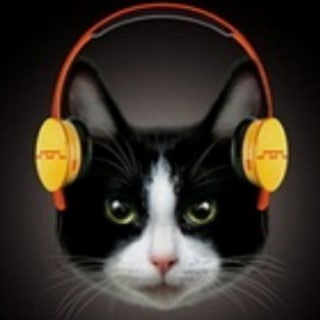 Логотип @mdallam - MyzOboZ