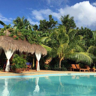 Логотип @mdchinese - 菲律宾酒吧KTV信息