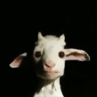 Логотип @mdcnq - путь к белому халату