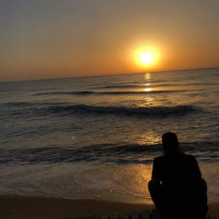 Логотип @mddddddddddddddddd - md'