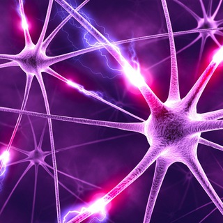 Логотип @mdevostatortm - Инсайт дня [Next Generation]