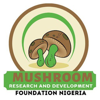 Логотип @mdfng - MUSHROOM RESEARCH & DEVELOPMENT FOUNDATION NIGERIA