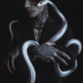 Логотип @mdima_ma - 𝕊𝕖𝕞ь𝕪𝕒 𝕓𝕖𝕤𝕠𝕧 🦇