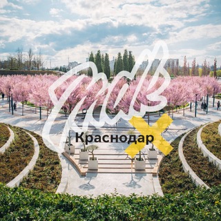 Логотип @mdk_krasnodar_krai - MDK Краснодар