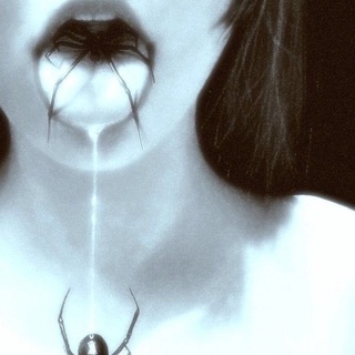 Логотип @mdmmeowtgk - бульвар дани рейза д31