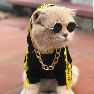 Логотип @me_7775 - ЮМОР | СМЕШНЫЕ ВИДЕО