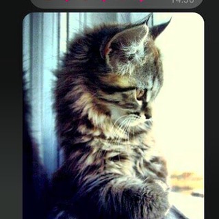 Логотип @me_inlove - Любовь Моя❤️