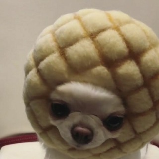 Логотип @meandpepe - пук плак🇺🇦