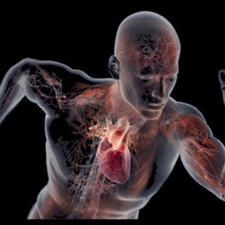 Логотип @med_body_fact - МЕД ФАКТ Ⓜ️