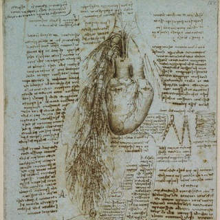 Логотип @med_life1 - Медицинский спектакль