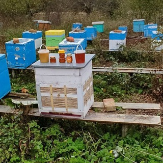 Логотип @med_minsk_bel - Мёд Минск 🍯