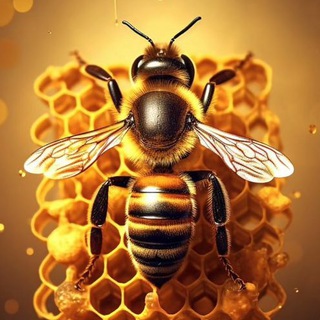 Логотип @med_mp - Мёд | Раздачи и акции WB Ozon