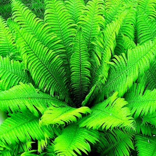 Логотип @medfacto - MedFacto