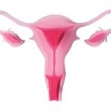 ГИНЕКОЛОГИЯ