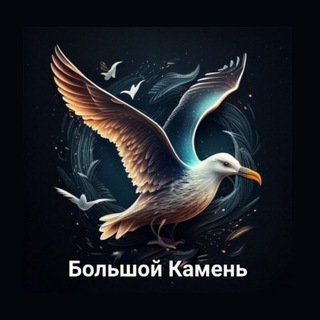 Логотип @mediabk_chat - Большой Камень чат
