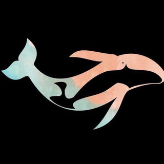 Логотип @mediafanspb - МедиаФан ОFFICIAL