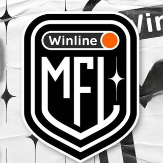 Логотип @mediafootballeague - pro МЕДИЙНЫЙ ФУТБОЛ