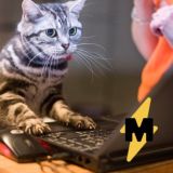 Логотип @medialeaks_chat - Medialeaks — чат с читателями