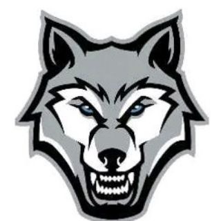 Логотип @mediawolf - Media Wolf
