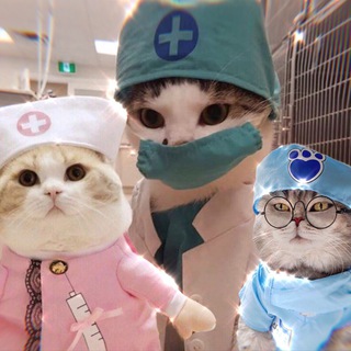 Логотип @medic_cats - Котики и медицина